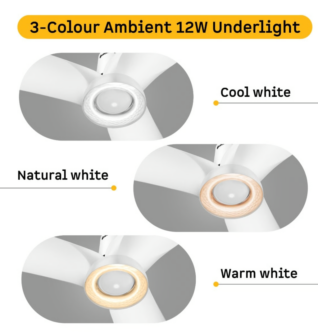 Aris Illusia Smart Ceiling Fan