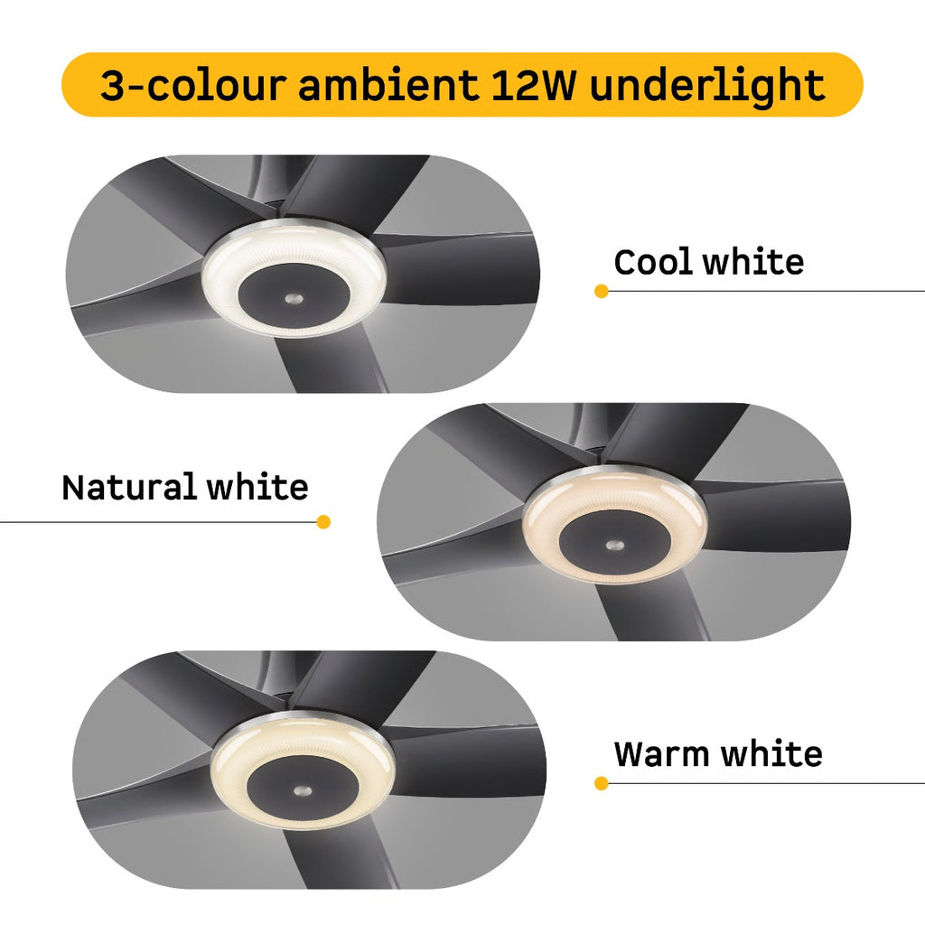 Atomberg Emperion Magna Smart 1280mm BLDC Ceiling Fan | Newly Launched | Remote Operated | BEE 5 Star Rated | Lava Grey (Gloss Metallic)